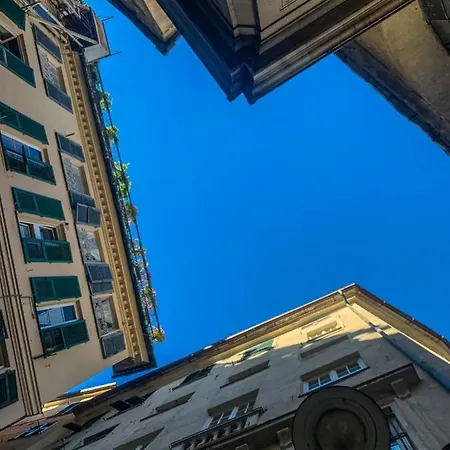 Teseo & Relax Konukevi 4*